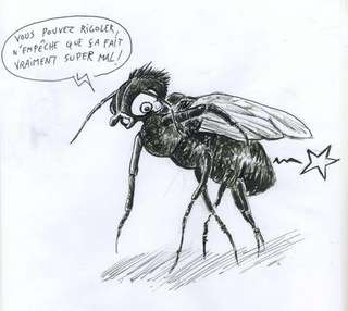 Dans notre langage, l'enculeur n'est que rarement insulté... sauf quand il s'attaque aux mouches.